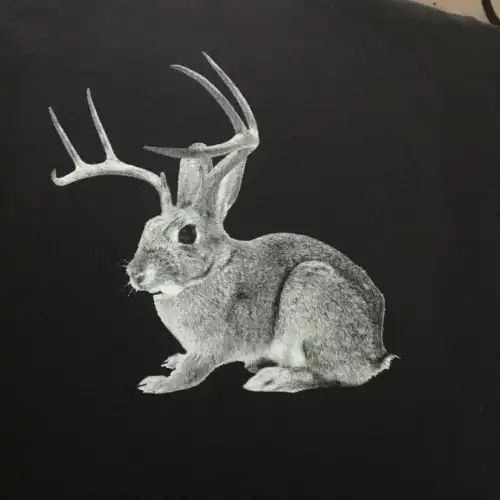 Jackalope