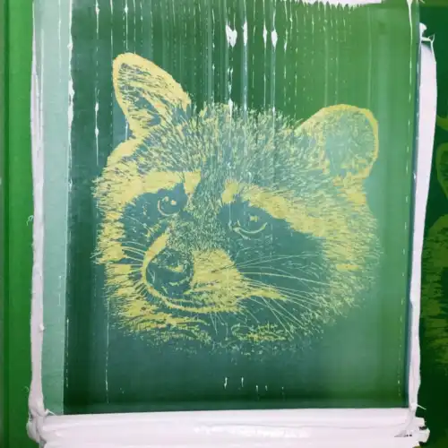 tshirt raccoon québec femme