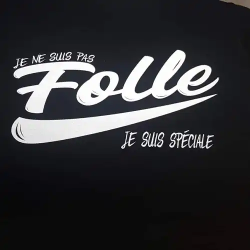 T-shirts personnalisés humoristiques fait au Québec | Lévis. T-shirts Citation Drôles imprimés au Québec